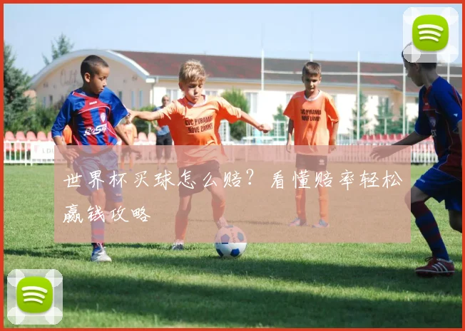 世界杯买球怎么赔？看懂赔率轻松赢钱攻略