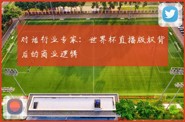 对话行业专家：世界杯直播版权背后的商业逻辑