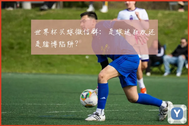 世界杯买球微信群：是球迷狂欢还是赌博陷阱？