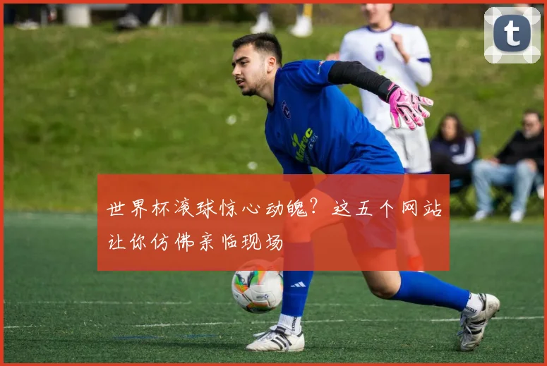 世界杯滚球惊心动魄?这五个网站让你仿佛亲临现场