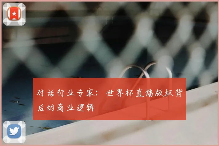 对话行业专家：世界杯直播版权背后的商业逻辑