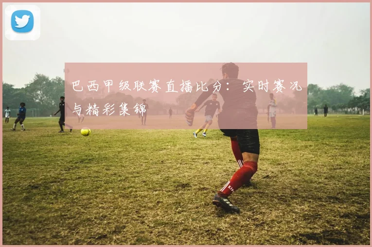 巴西甲级联赛直播比分：实时赛况与精彩集锦
