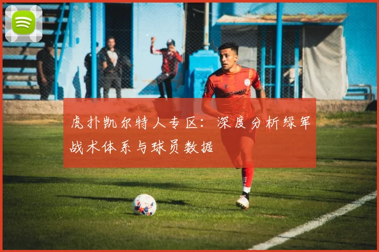 虎扑凯尔特人专区：深度分析绿军战术体系与球员数据