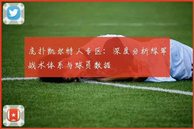 虎扑凯尔特人专区：深度分析绿军战术体系与球员数据