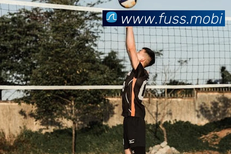 App Interface Preview