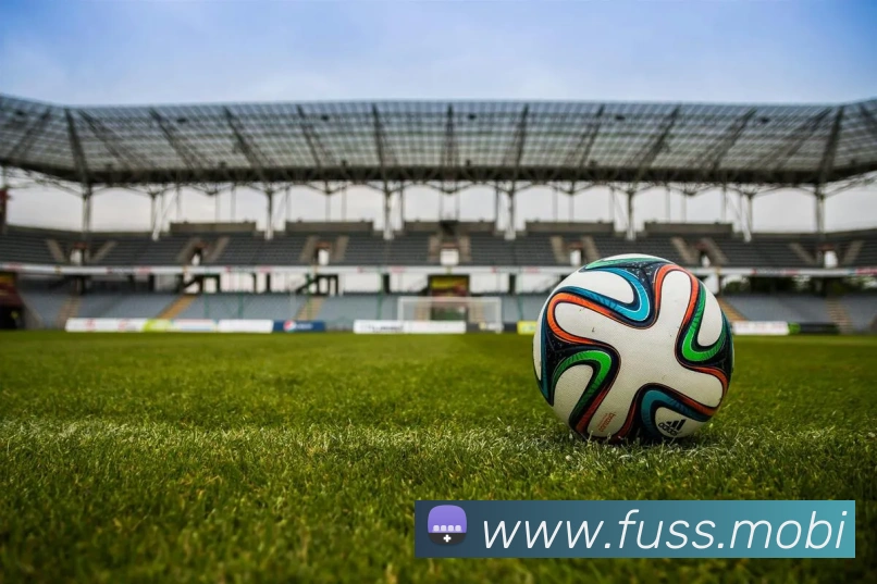 bsprot体育官网登录APP 封面图